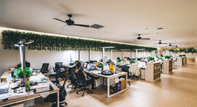 联系小黄片在线免费