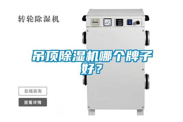 吊顶小黄片下载安装哪个牌子好？