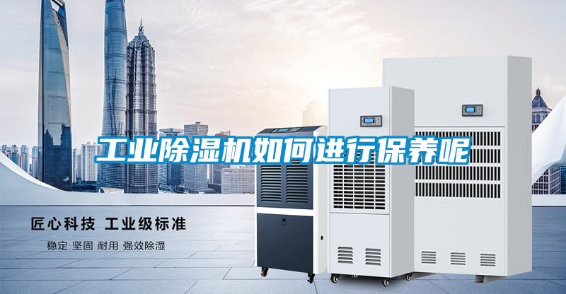 工业小黄片下载安装如何进行保养呢