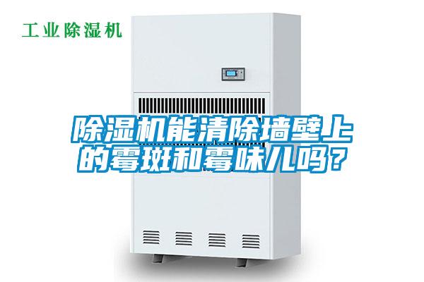 小黄片下载安装能清除墙壁上的霉斑和霉味儿吗？