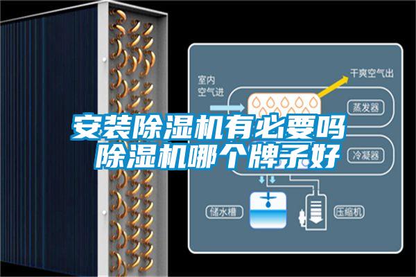 安装小黄片下载安装有必要吗 小黄片下载安装哪个牌子好