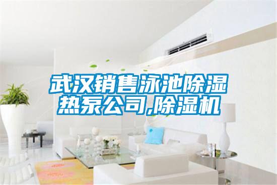 武汉销售泳池除湿热泵公司,小黄片下载安装