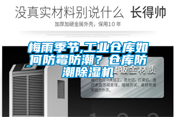 梅雨季节,工业仓库如何防霉防潮？仓库防潮小黄片下载安装