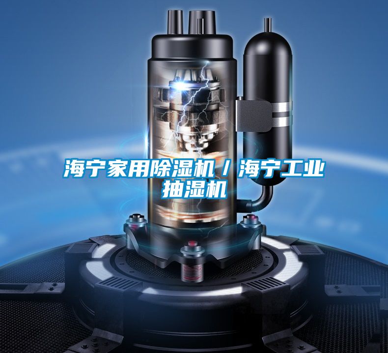 海宁家用小黄片下载安装／海宁工业抽湿机