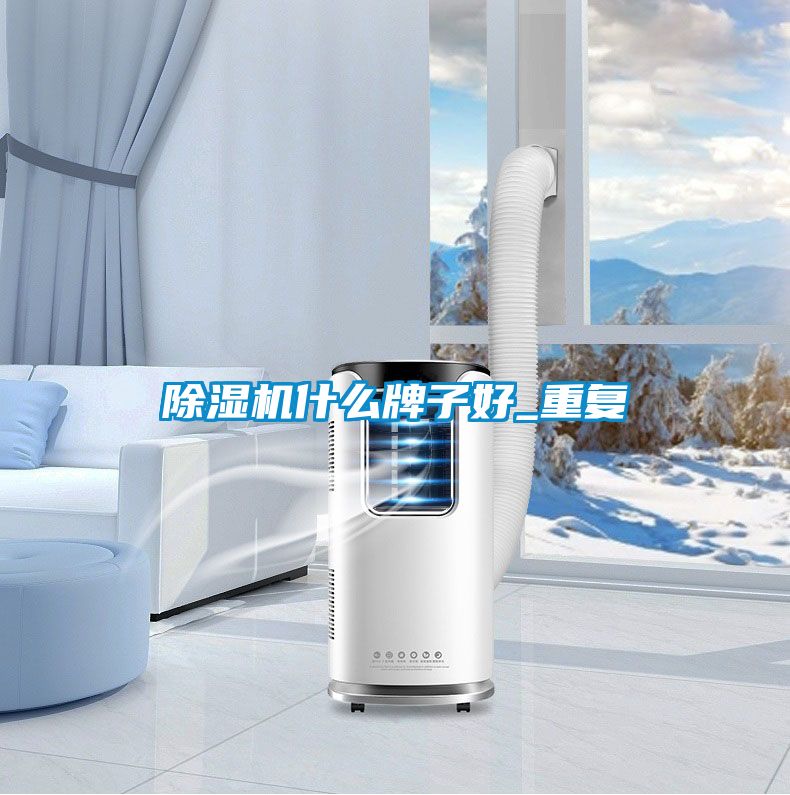 小黄片下载安装什么牌子好_重复