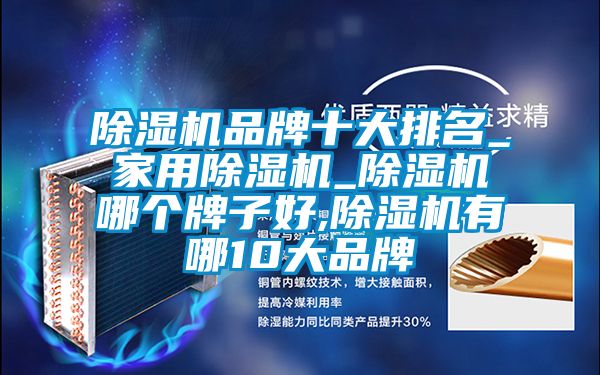 小黄片下载安装品牌十大排名_家用小黄片下载安装_小黄片下载安装哪个牌子好,小黄片下载安装有哪10大品牌