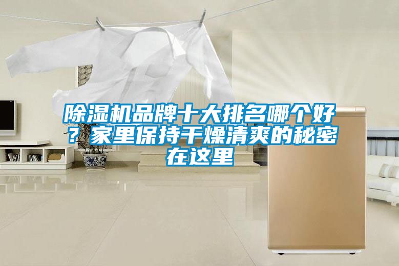 小黄片下载安装品牌十大排名哪个好?家里保持干燥清爽的秘密在这里