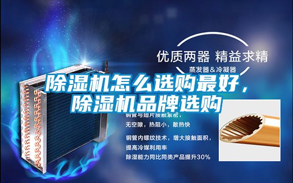 小黄片下载安装怎么选购最好，小黄片下载安装品牌选购