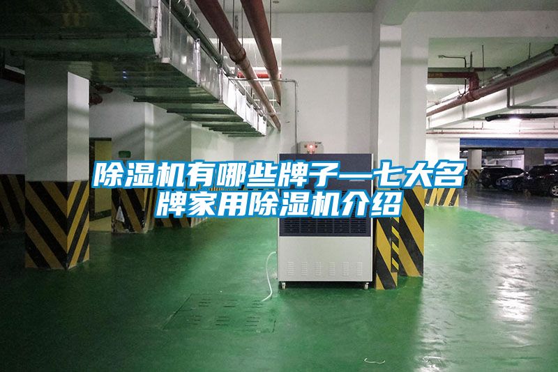 小黄片下载安装有哪些牌子—七大名牌家用小黄片下载安装介绍