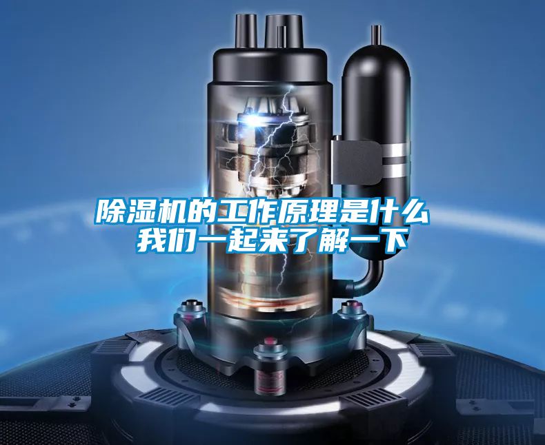 小黄片下载安装的工作原理是什么 小黄片在线免费一起来了解一下