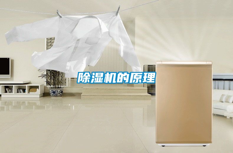 小黄片下载安装的原理