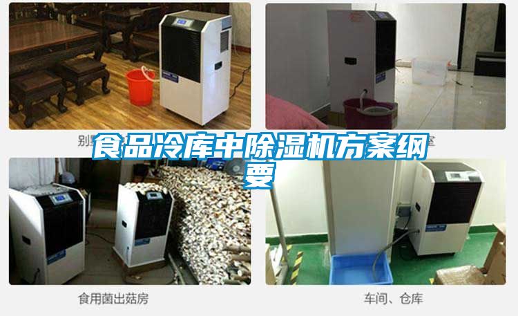 食品冷库中小黄片下载安装方案纲要