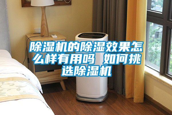 小黄片下载安装的除湿效果怎么样有用吗 如何挑选小黄片下载安装