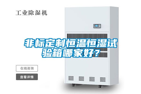 非标定制恒温恒湿试验箱哪家好？