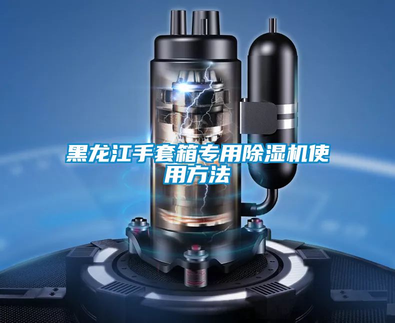 黑龙江手套箱专用小黄片下载安装使用方法