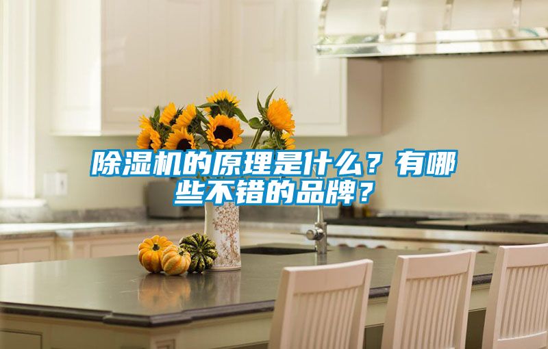 小黄片下载安装的原理是什么？有哪些不错的品牌？