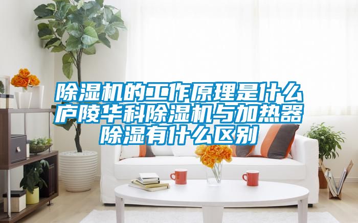 小黄片下载安装的工作原理是什么庐陵华科小黄片下载安装与加热器除湿有什么区别